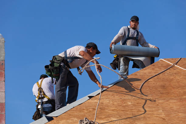 Roof Gutter Cleaning in Box Elder, SD