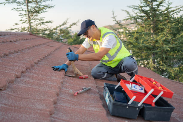 Professional Roofing Contractor in Box Elder, SD
